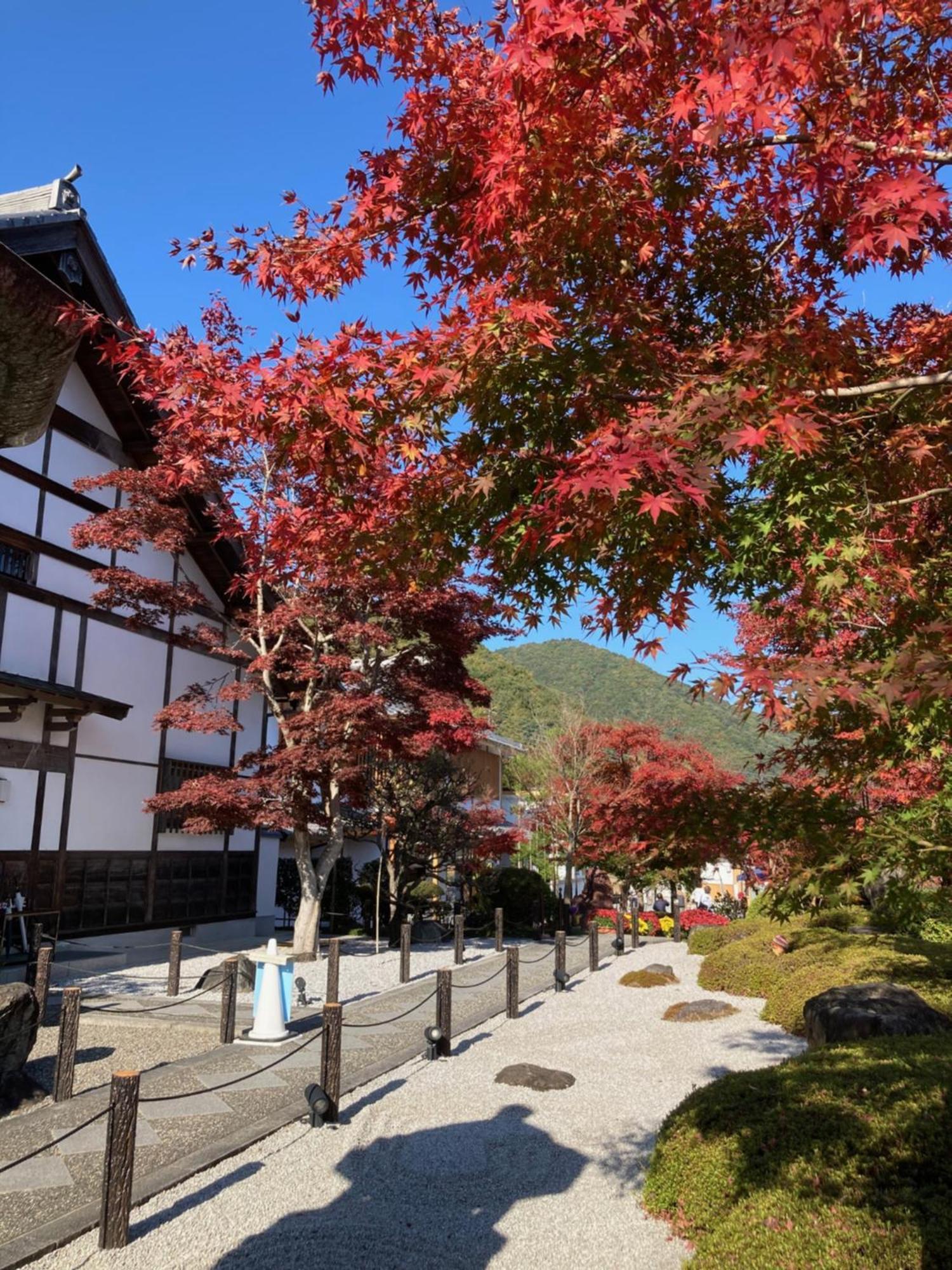 Sky Tree Inn Ⅱ（晴樹宿ⅱ） Токио Экстерьер фото