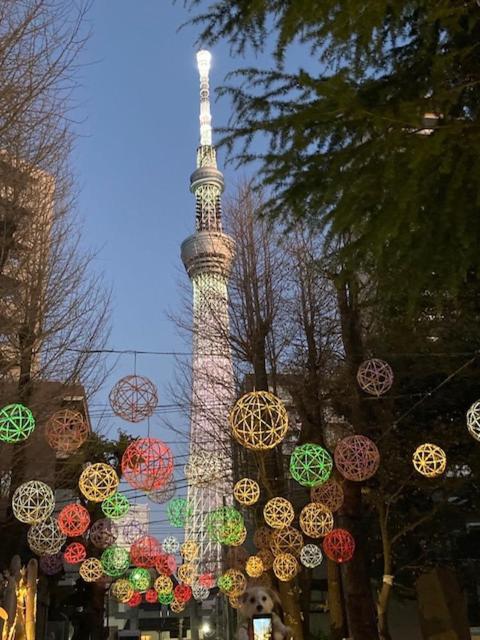 Sky Tree Inn Ⅱ（晴樹宿ⅱ） Токио Экстерьер фото