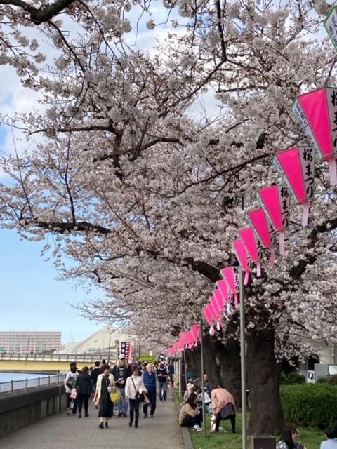 Sky Tree Inn Ⅱ（晴樹宿ⅱ） Токио Экстерьер фото
